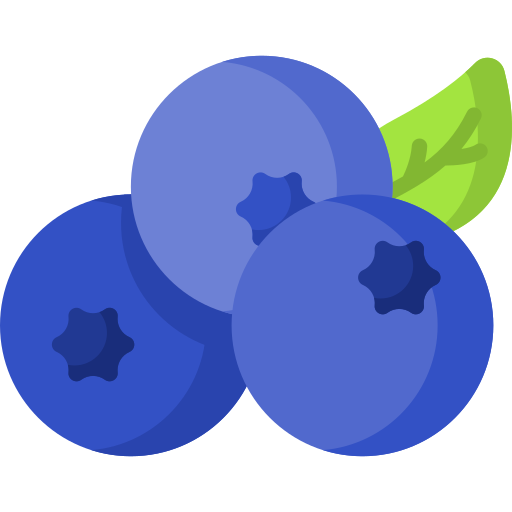 Blueberry - Vocabulary