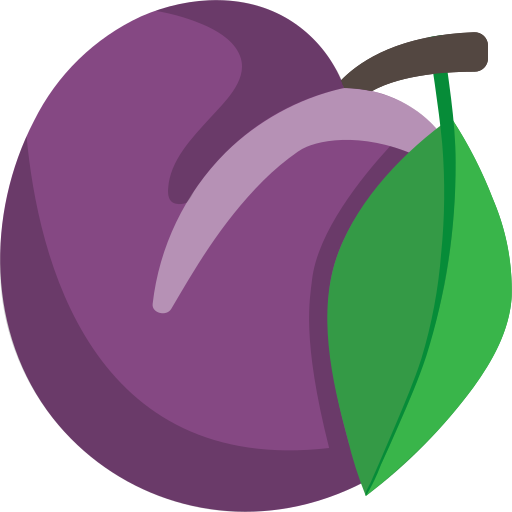 Plum - Vocabulary