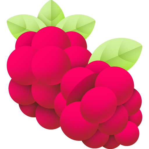 Raspberry - Vocabulary